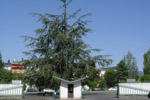 Entrada