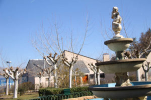 IMG_9456